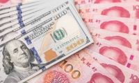 宁夏首个“赛马制”科研项目通过验收